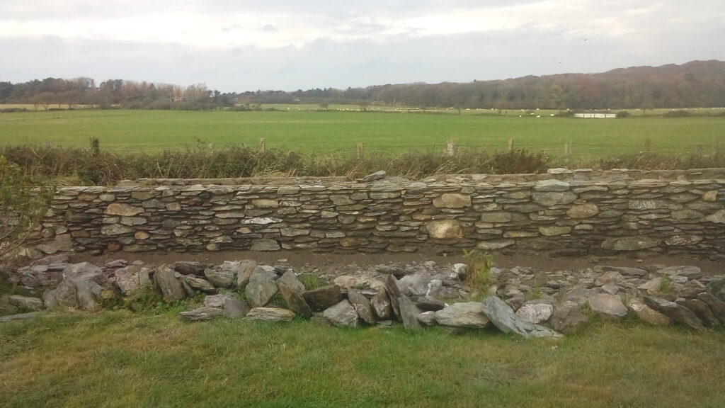 20181106_092643[8795]