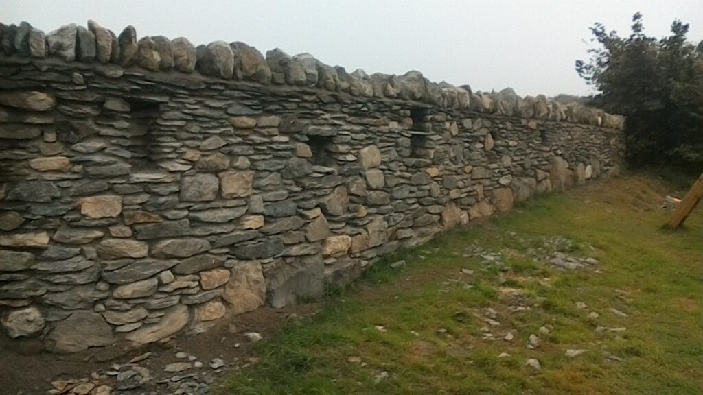 WIN_20170726_11_40_39_Pro